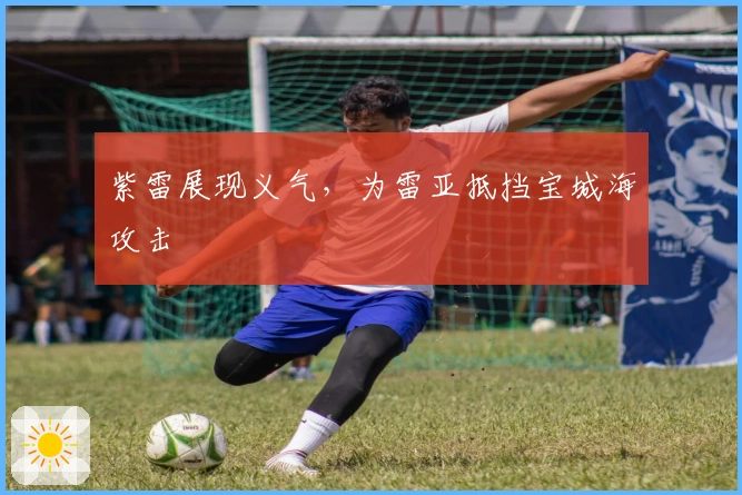 紫雷展现义气，为雷亚抵挡宝城海攻击