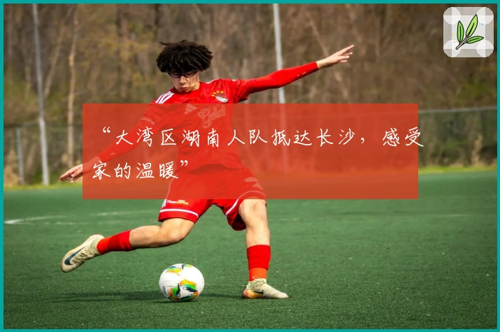 “大湾区湖南人队抵达长沙，感受家的温暖”