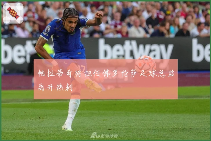 帕拉蒂奇将担任佛罗伦萨足球总监离开热刺